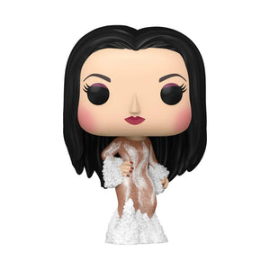 Funko Pop Cher - (Met Gala 1974) - DJ FOR LIFE