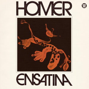 Homer | Ensatina - DJ FOR LIFE