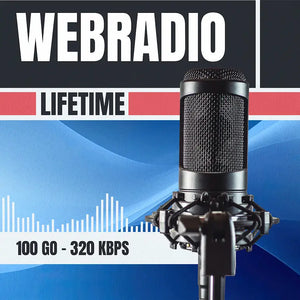 un micro professionnel pour webradio pour un offre a vie de 100 Go de stockage en 320 Kbps